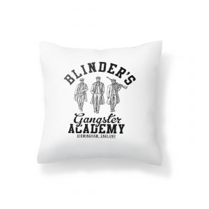 blinder cushion